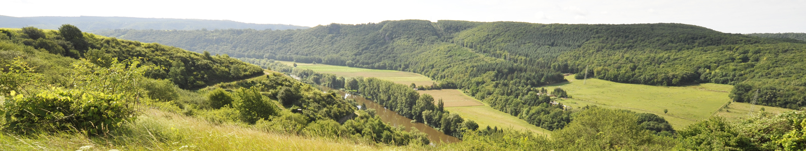 Landschaft mit Fluss © Dienstleistungszentren Ländlicher Raum